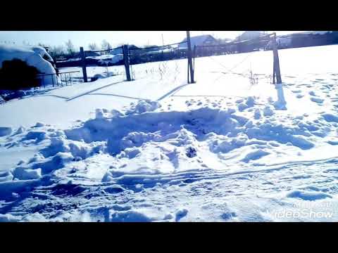 Видео: Петровка kz