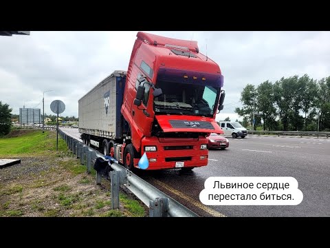 Видео: Львиное сердце перестало биться. Встал на дороге. Часть 1.