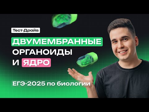Видео: ОРГАНОИДЫ КЛЕТКИ. ЯДРО, МИТОХОНДРИИ, ПЛАСТИДЫ (часть 1) | Тест-драйв | NeoFamily