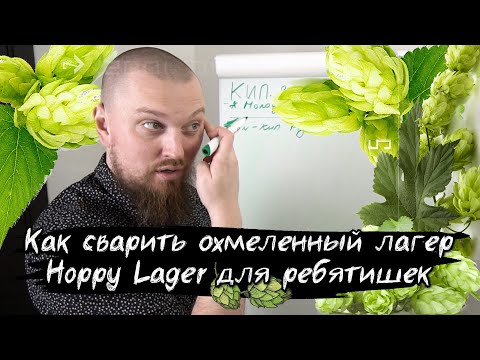 Видео: Как сварить пиво охмеленный Лагер  Рецепт Hoppy Lager для ребятишек