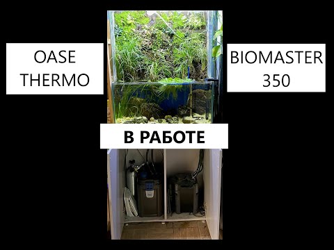 Видео: Устанавливаем OASE BIOMASTER  350 на аквариум с апельсиновыми лампрологусами(Neolamprologus leleupi)