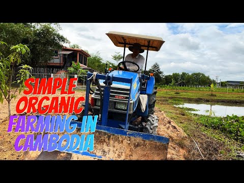 Видео: Здоровая почва, здоровая пища, здоровый образ жизни