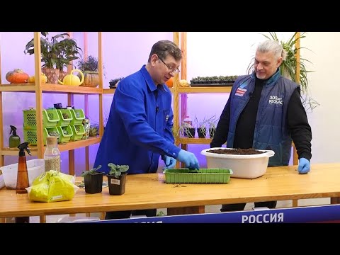 Видео: Вести.Интервью: Владислав Кундасёв, агроном