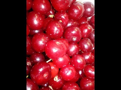 Видео: 🍒 СЕКРЕТЫ ЗАМОРОЗКИ ВИШНИ