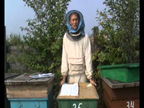 Видео: Универсальный улей Кузнецова 2