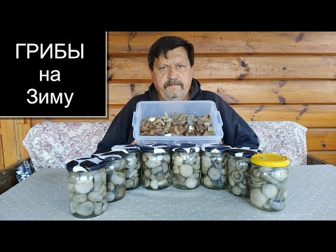 Видео: ГРИБЫ СЫРОЕЖКИ И КУРОЧКИ // Как закатать самые вкусные грибы на зиму ? Рецепт
