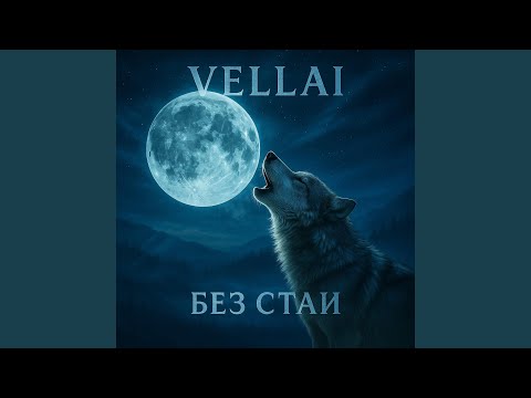 Видео: Без стаи