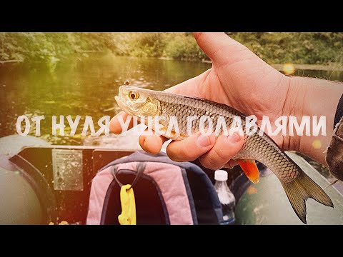 Видео: МОРМЫШИНГ. РЫБАЛКА НА МАЛОЙ РЕКЕ. ОТ НУЛЯ УШЕЛ ГОЛАВЛЯМИ
