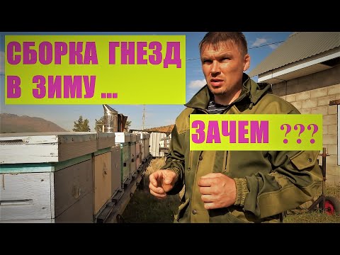 Видео: РЕЦЕПТ 100% зимовки!!! Без сборки гнезд.