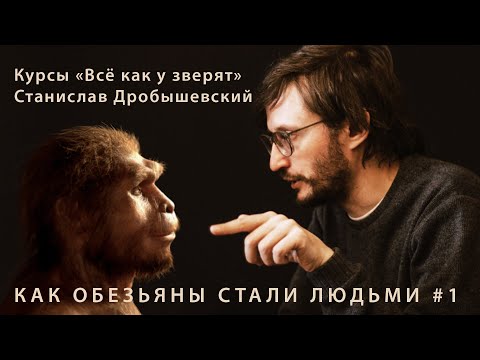 Видео: Станислав Дробышевский "Как обезьяны стали людьми" #1 // курсы юного натуралиста "Всё как у зверят"