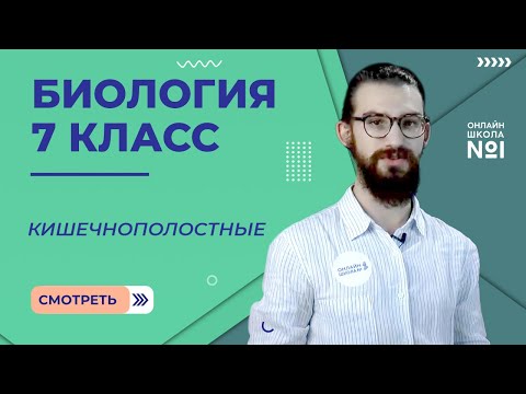 Видео: Кишечнополостные. Урок 5. Биология 7 класс