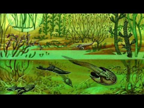 Видео: Происхождение жизни (рассказывает биолог Армен Мулкиджанян)