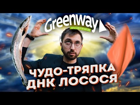 Видео: ОБМАНЕМ вас ДОРОГО! Разбор Greenway. Финансовые пирамиды