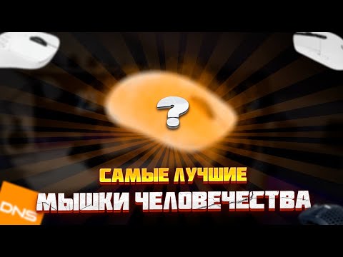 Видео: САМЫЕ ЛУЧШИЕ МЫШКИ | лучшие мышки человечества | лучшие мыши цена/качество