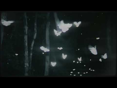 Видео: ismie - Тысячи раз