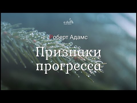 Видео: Роберт Адамс - Признаки прогресса [Nikosho]