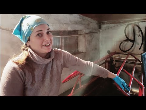 Видео: Що вона взагалі тут робить???