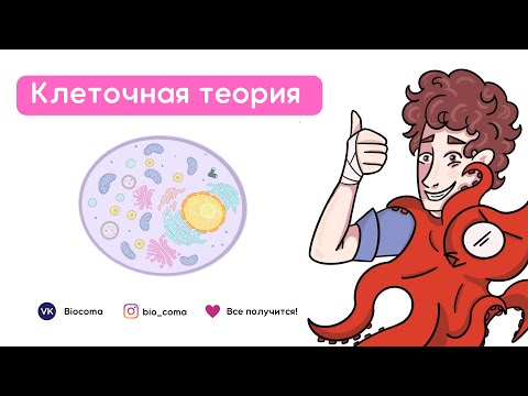 Видео: Клеточная теория за 10 минут | Биология ЕГЭ | Biocoma x Митя Фомин