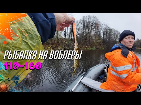 Видео: Крупные воблеры на болоте | 110, 130, 160