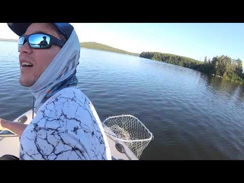 Видео: Выход щуки.#рыбалка #лодка #рыбак174 #щука #gladiator #fishing