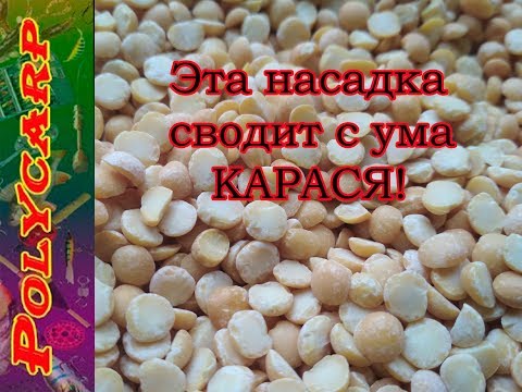 Видео: ГОРОХОВАЯ МАСТЫРКА ЛУЧШАЯ ПРИКОРМКА И НАСАДКА НА КАРАСЯ
