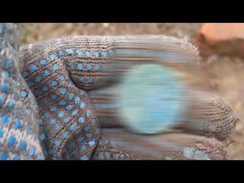 Видео: Царская монета как награда! 