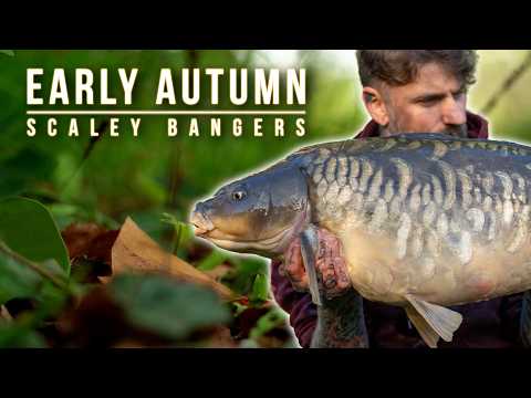 Видео: Ловля карпа ранней осенью – Чешуя с хвостами – Билли Брикелл (BGH)