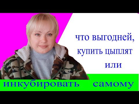 Видео: что выгодней, купить цыплят или инкубировать самому