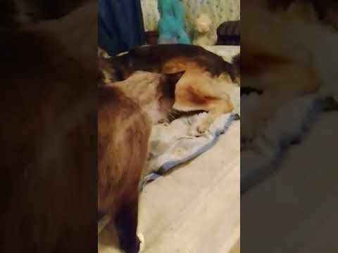 Видео: 30 октября 2025 г.