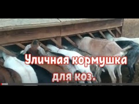 Видео: Кормушка для коз. Размеры. Нюансы.