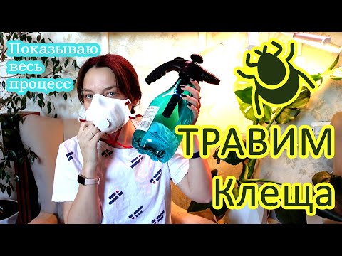 Видео: Будни цветовода, обработки от клеща. Распаковка препаратов в цветочную аптечку.