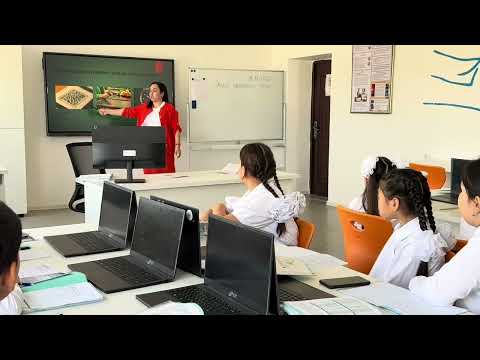 Видео: 3 ноября 2025 г.