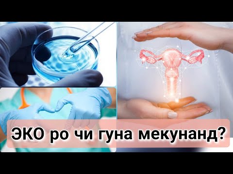 Видео: ЭКО. Намудхои ЭКО. Дар кадом холат мекунанд? #намудхоиэко #хаётисолим