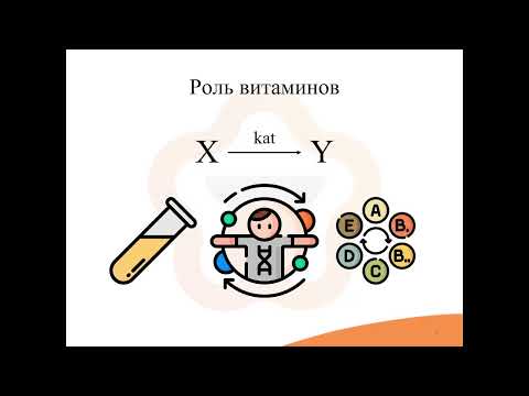 Видео: 35.1. Витамины
