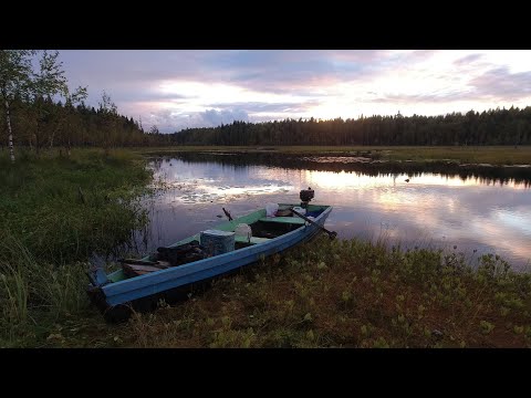 Видео: НОЧУЮ в ЛЕТНЕЙ ИЗБЕ. ОСЕННЯЯ РЫБАЛКА на ЩУКУ. СУПЕР УХА!!!