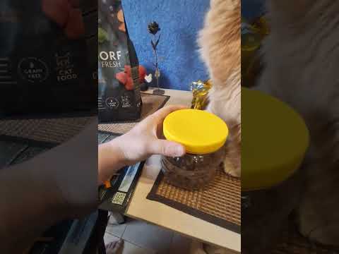 Видео: Изменения в Grandorf fresh