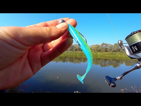 Видео: ПОДОБРАЛ РАБОЧИЙ ЦВЕТ И СРАЗУ ПОКЛЁВКИ! Ловля щуки и судака осенью! Рыбалка на спиннинг джиг на реке