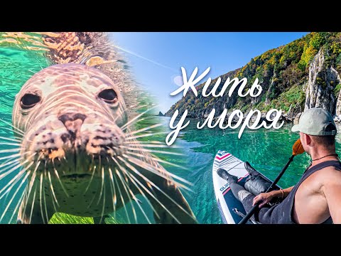 Видео: Жить у моря. Приморье на сапе. / Living by the sea