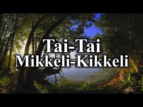 Видео: Кот-засранец. Mikkeli-Kikkeli (русские субтитры)