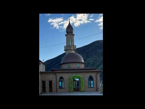 Видео: 13 ноября 2022 г.