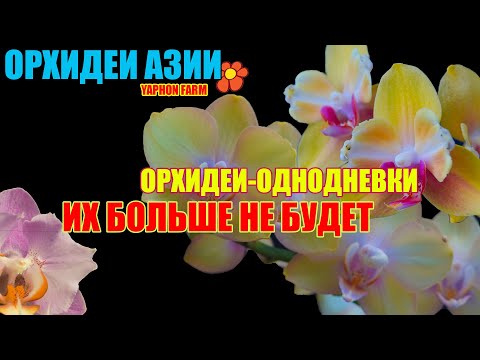 Видео: Сорта, которые скоро забудутся. Спешите увидеть пока они есть.