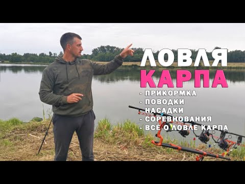 Видео: Карпфишинг. Заняли ? место.  Подробно как мы ловили сазана и карпа. Секреты корма и насадок.