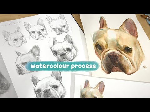 Видео: Портрет питомца на заказ! Рисую и раскрашиваю француза 🐶