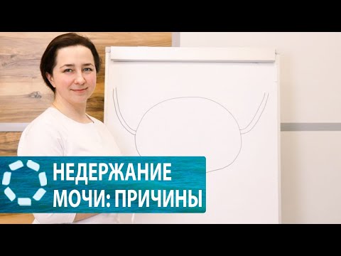 Видео: Недержание мочи: причины