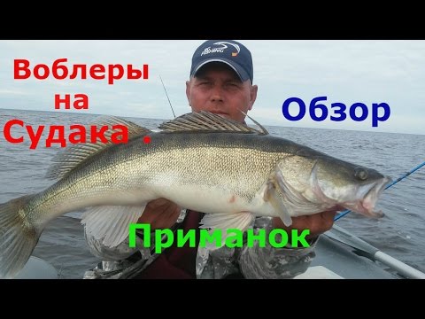 Видео: Клевые воблеры на судака .