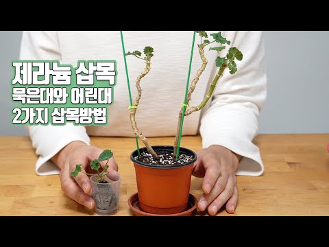 Видео: Вы можете сделать это легко! Два способа использования Мук и Юнгдэ / Как использовать Джипипелет