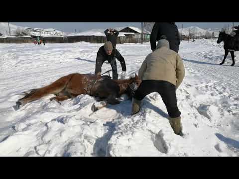 Видео: Эрзин погбазы