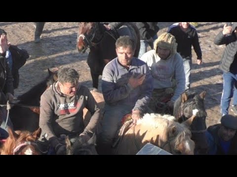 Видео: Буз дар Саричашма кисми 3