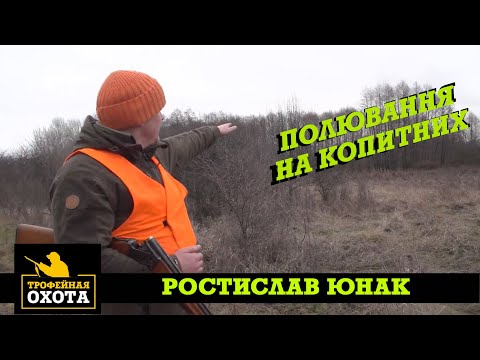 Видео: Полюванння на Копитних | Трофейне Полювання №75