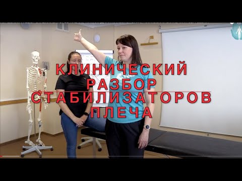 Видео: Клинический разбор стабилизаторов плеча. Прикладная кинезиология. Пилявская Екатерина Сергеевна.